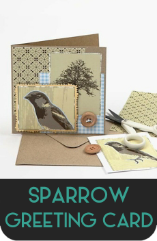 sparrowcard.png